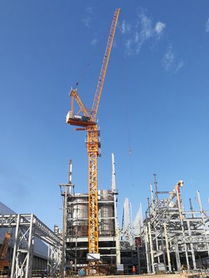 6000kg Luffing Jib Tower 6 Ton Crane Skyscraper Crane QTD80-6